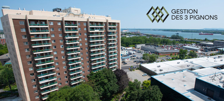 À propos de Gestion des Trois Pignons