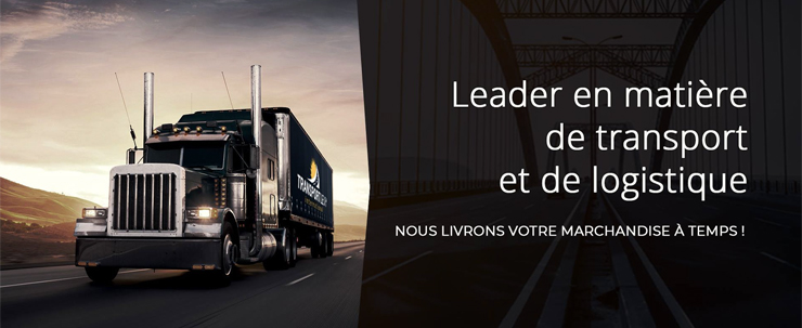 À propos de Transport Levy International